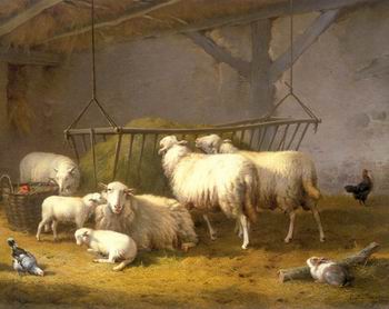 Sheep 132